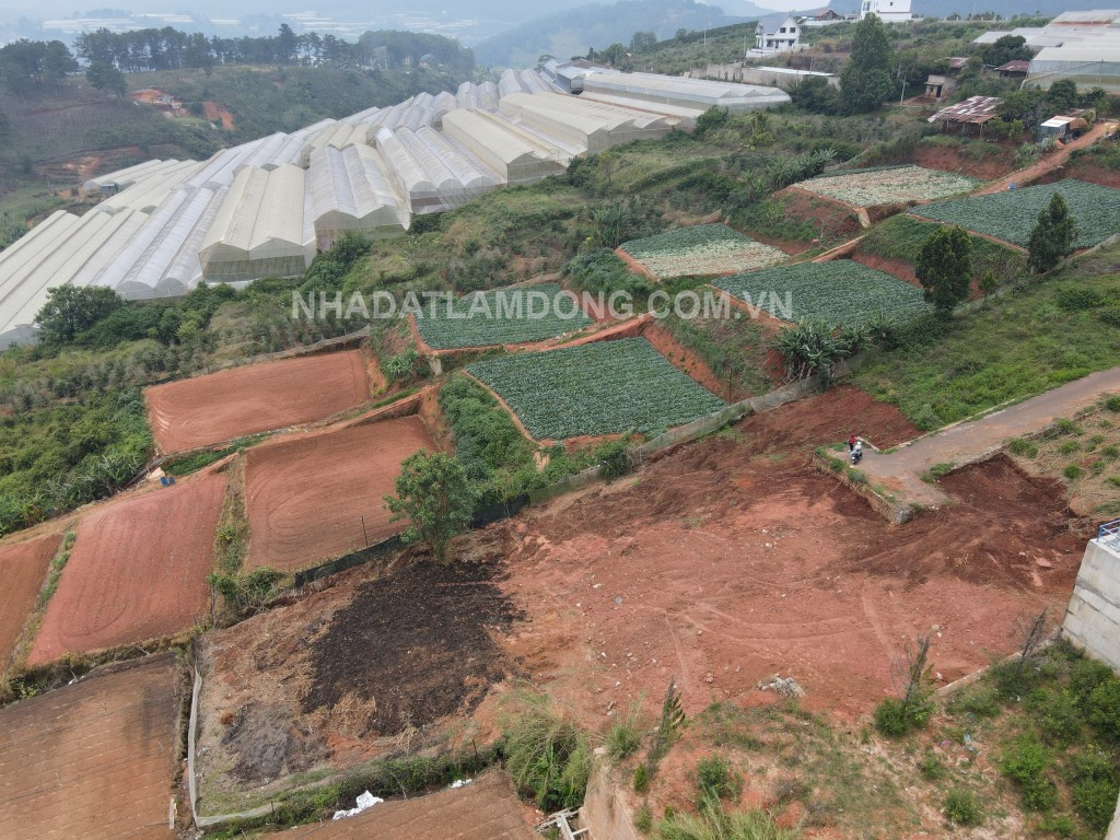 Bán 1000 m2 Đất Đầu Tư Măng Lin -Khu Lý Nhã Kỳ