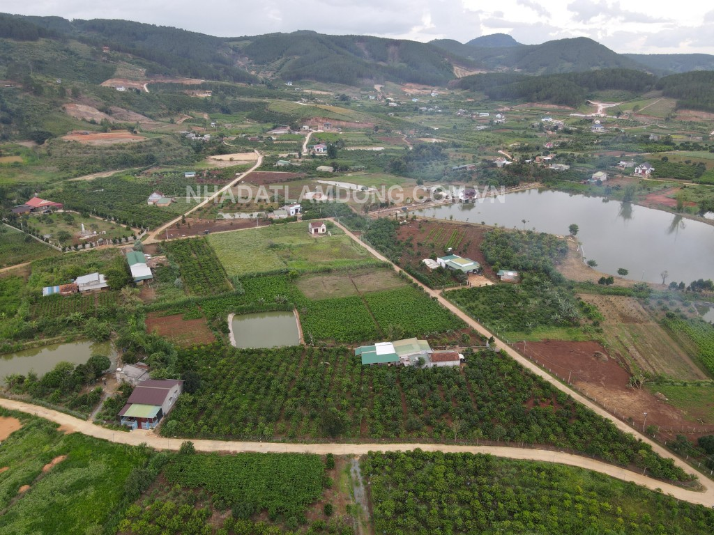 Bán Lô Đất 11000m2( 1,1 hecta) ,view hồ, Thị trấn Nam Ban- Lâm Đồng