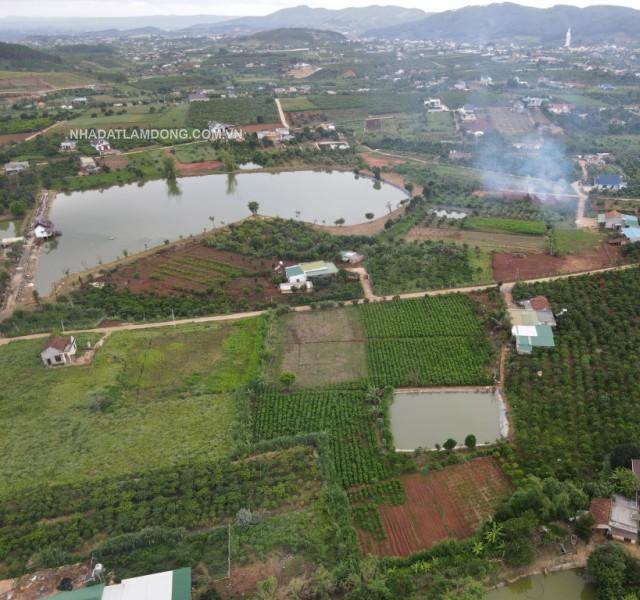 Bán Lô Đất 11000m2( 1,1 hecta) ,view hồ, Thị trấn Nam Ban- Lâm Đồng